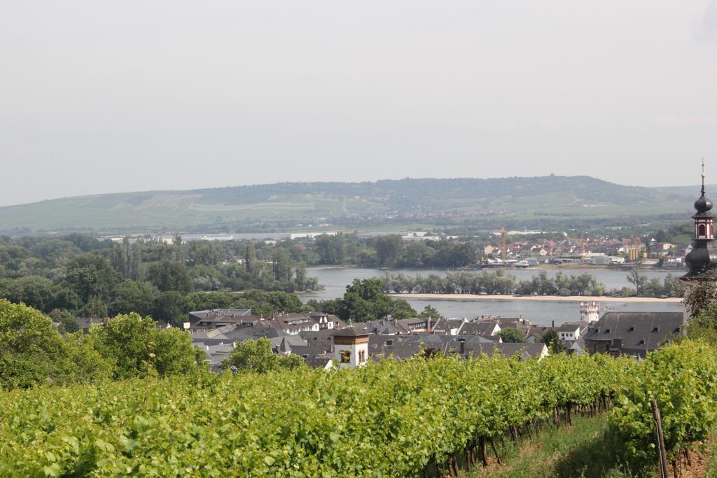 Ferienwohnung Luna Ruedesheim am Rhein Luaran gambar